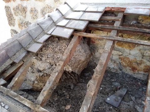 Repérage et destruction de nid de guêpes à Chartres