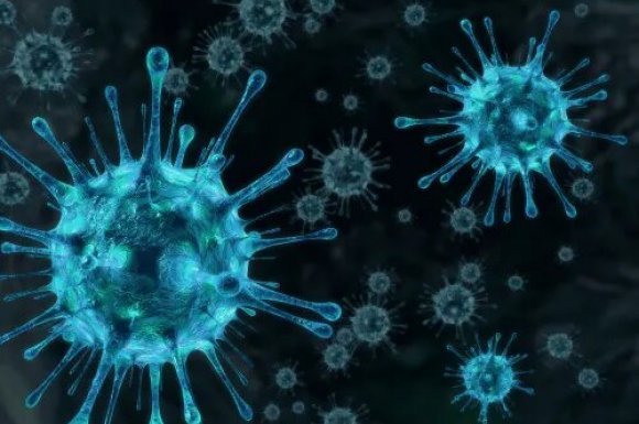 Spécialiste du traitement bactéricide et virucide de locaux - NGAN - Nouvelle Génération Anti-Nuisibles